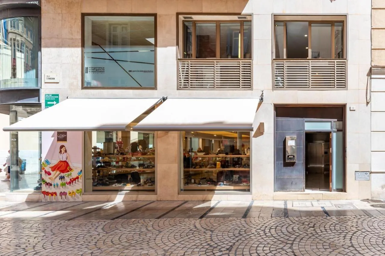 Apartment Vistas Panoramicas Calle Larios Malaga