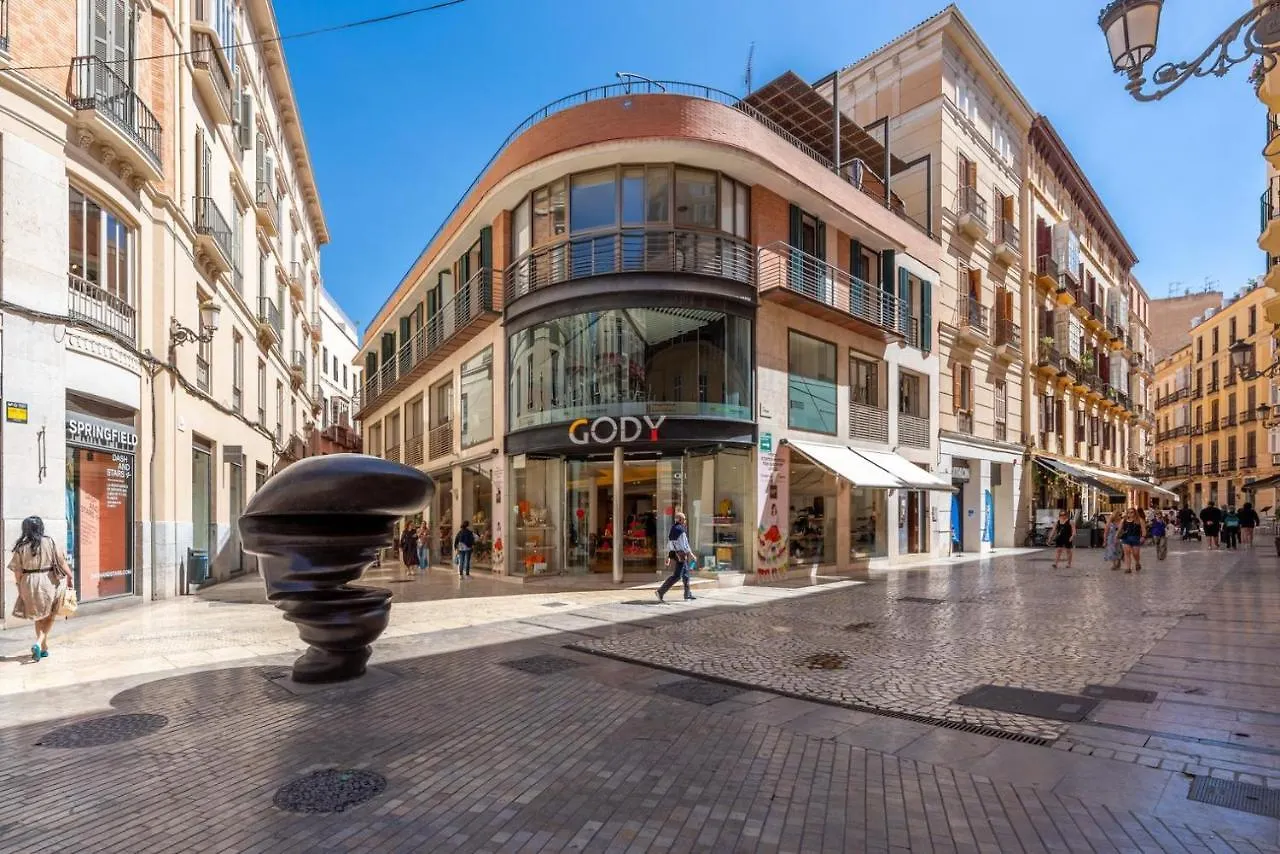 Vistas Panoramicas Calle Larios Málaga